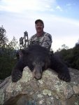 bear 12-04-08.jpg