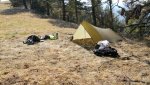 Montana 2012 Elk 013.jpg