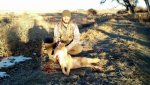 Coyote.jpg