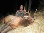 2012 elk.jpg