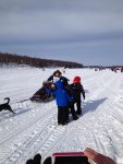 Iditarod 1.jpg
