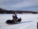 Iditarod.jpg