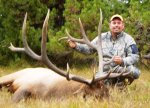 Copy of WY ELK 2010.jpg