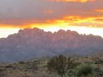 IMG_0443.jpg