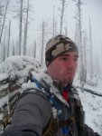 Timberline.jpg