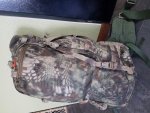 20170310_122123.jpg