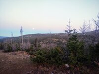 IMG_20210921_070151845.jpg