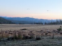 IMG_20210921_071130985.jpg