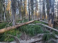 20210906_070206.jpg