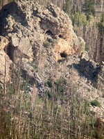 IMG_5297.jpg