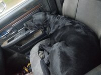 IMG_20210909_073106487.jpg