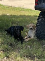 IMG_1544.jpg