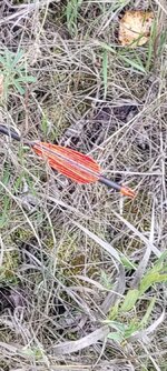 Screenshot_20210922-210306_Gallery.jpg Screenshot_20210922-210306_Gallery.jpg