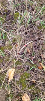 20210919_181048.jpg 20210919_181048.jpg