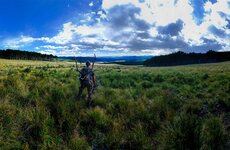 elk pic.jpg
