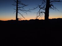 IMG_20210924_063541660.jpg