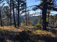IMG_20210924_100819073_HDR.jpg