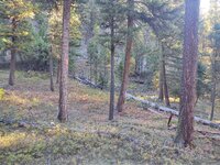 IMG_20210924_075608986.jpg