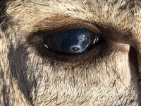IMG_8823.jpeg