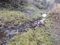 IMG_20210925_075043557.jpg