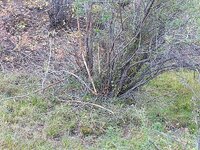 IMG_20210925_091533197.jpg