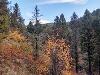 IMG_20210925_073839424_HDR.jpg