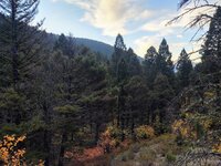 IMG_20210925_073943573_HDR.jpg