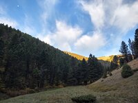 IMG_20210925_080614727_HDR.jpg