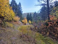 IMG_20210925_083216190_HDR.jpg