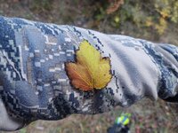 IMG_20210925_075534490.jpg