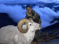 Evans ram.jpg