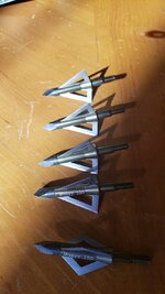 20210927_091336.jpg