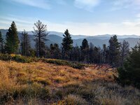 IMG_20210927_081903639_HDR.jpg