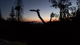 20210925_193823.jpg