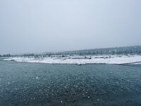 DF878E7B-270E-4376-9D6B-58CD3405F73F.jpeg
