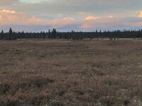 IMG_4891.jpg