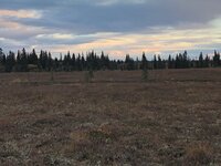 IMG_4893.jpg