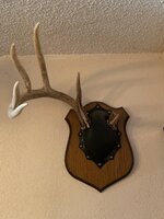 buck half rack.jpg