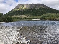 IMG_4853.jpg