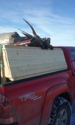 20151228_131532.jpg