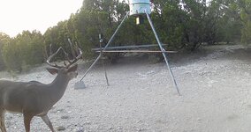 DSCF0264.jpg