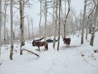 20201025_170631.jpg