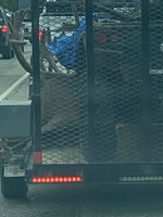 IMG_0264.jpeg