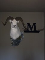 bad ram.jpg