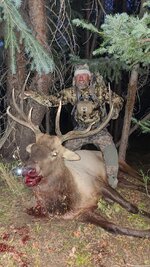 Bull 2021 CO.jpg