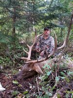 MT bull 2.jpg
