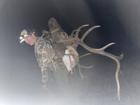 IMG_7550.jpeg