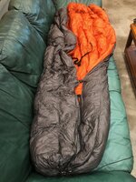 IMG_3407.jpg