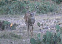 8 pt.jpg