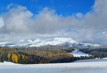 winter pic.jpg